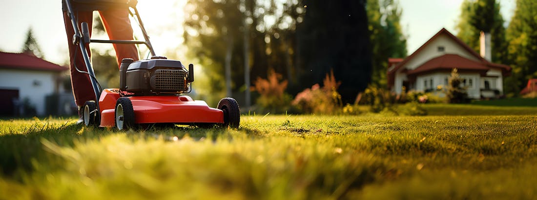 Grasmaaier Handgrasmaaier vs elektrische maaier: wat zijn de verschillen?